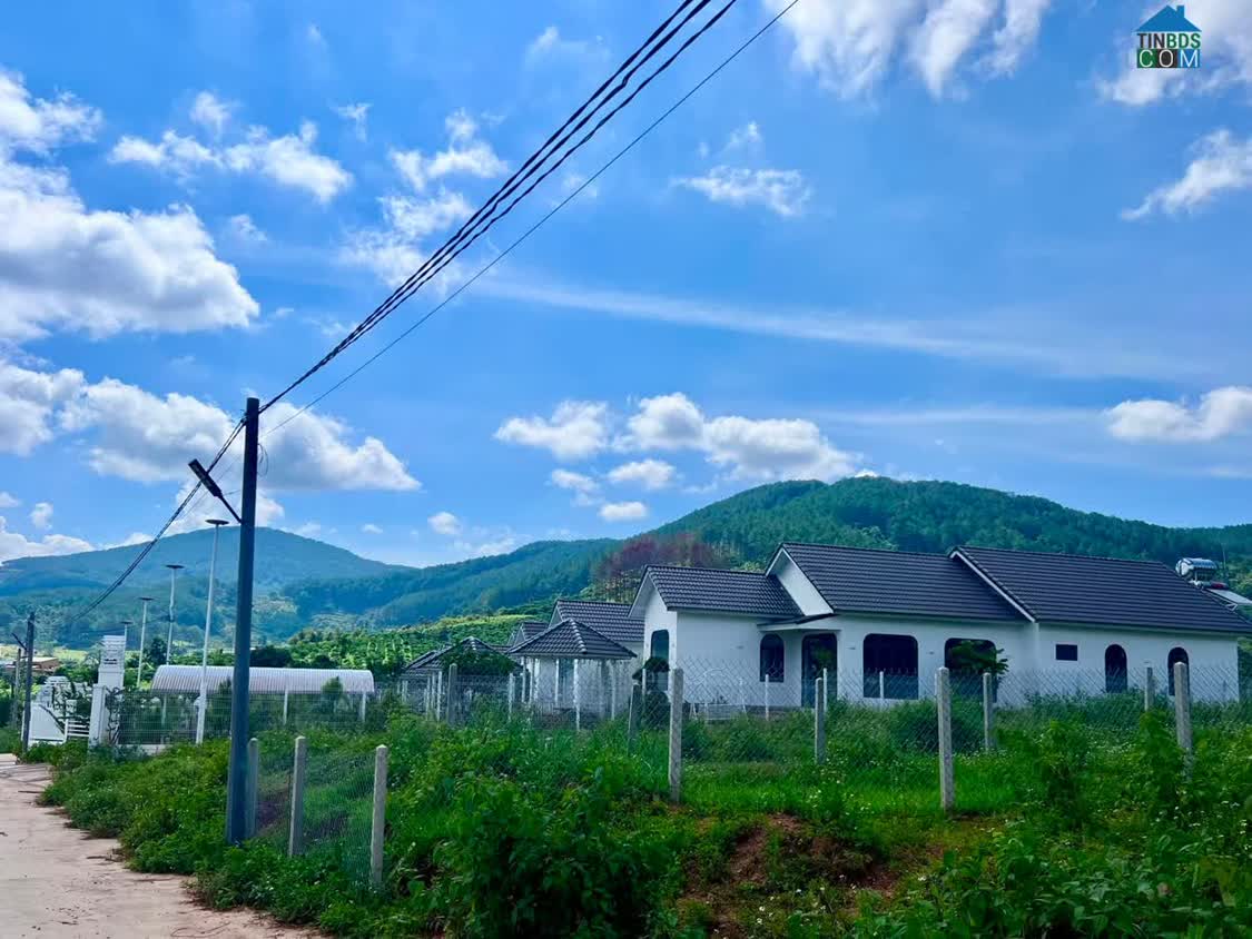 Ảnh Bán Đất Nền An Sơn Villas 239m² Thổ Cư 150m² – Cơ Hội Đầu Tư Giá Tốt Tại Khu Nghỉ Dưỡng Ven Đà Lạt 0