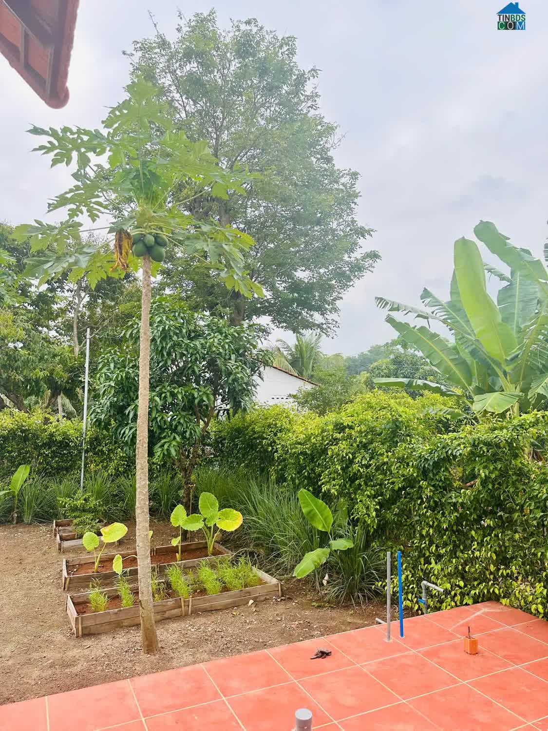 Ảnh Đón Sóng Hạ Tầng Vũng Tàu - Sở Hữu Ngay 400M² Đất Vàng Greenery House Long Tân 0