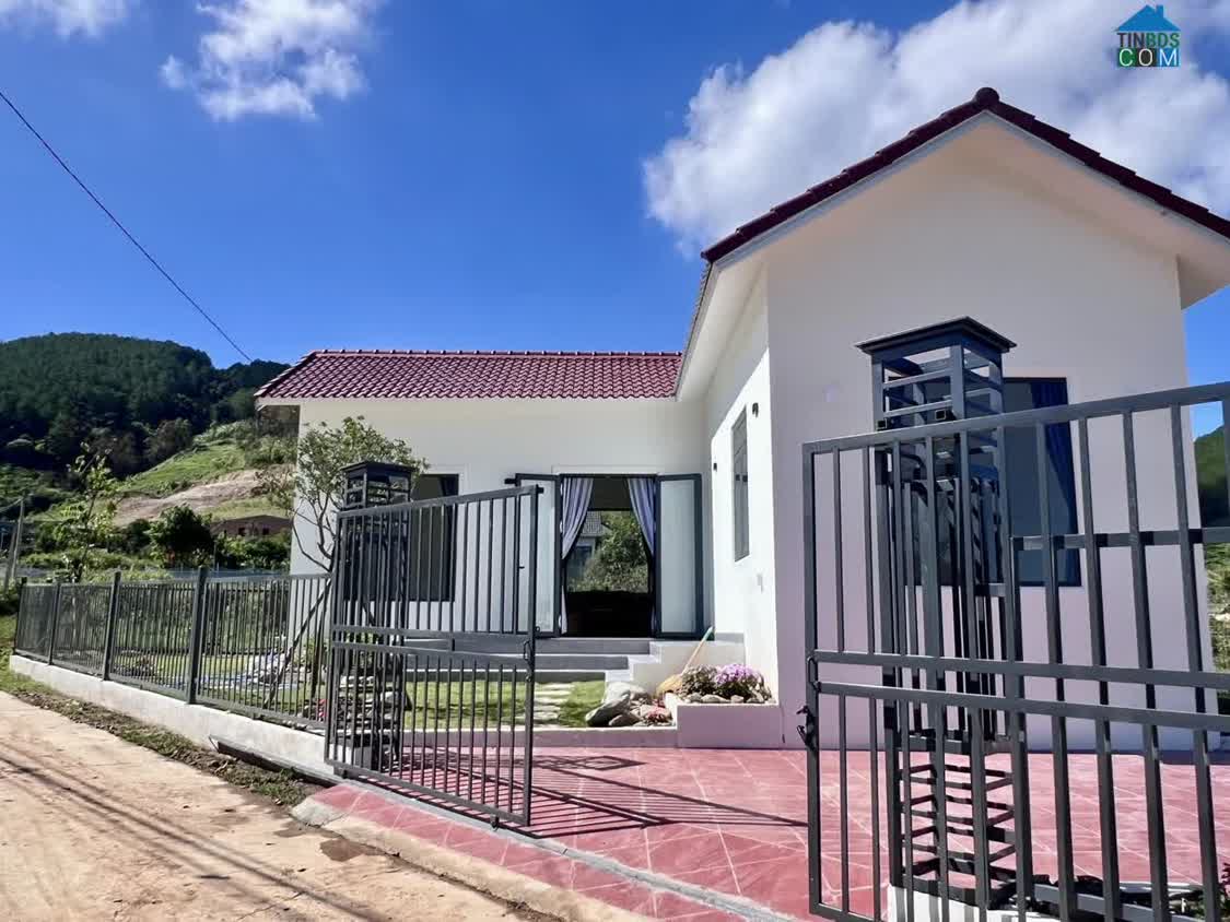 Ảnh Nhà Ven Đà Lạt 188m² – Bao Quanh Bởi Thông Xanh, Phù Hợp Sống Chậm Và Nghỉ Dưỡng 0