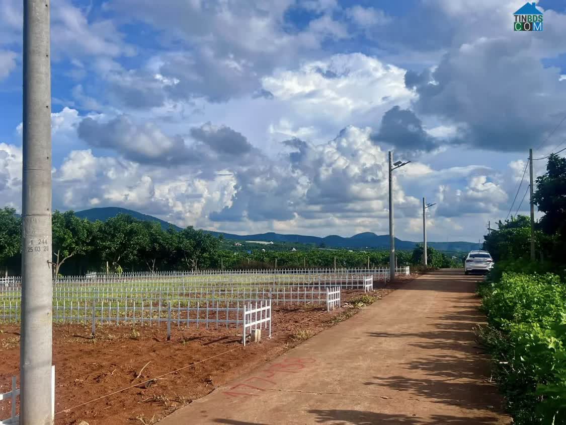 Ảnh Đất Thổ Cư Gần Chợ Thăng Long – Hạ Tầng Hoàn Thiện – Phù Hợp Xây Nhà Ở Lâu Dài 0