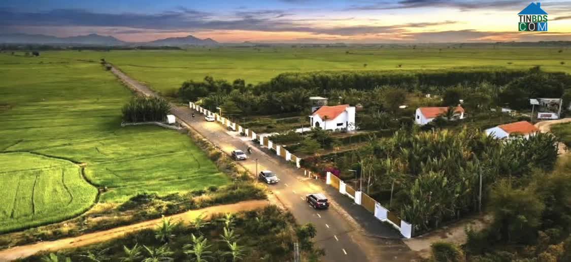 Ảnh Bán đất nền greenery house Bà Rịa Vũng Tàu, SHR, nhận ngay 356-400-500m2, lh 0938839926 0