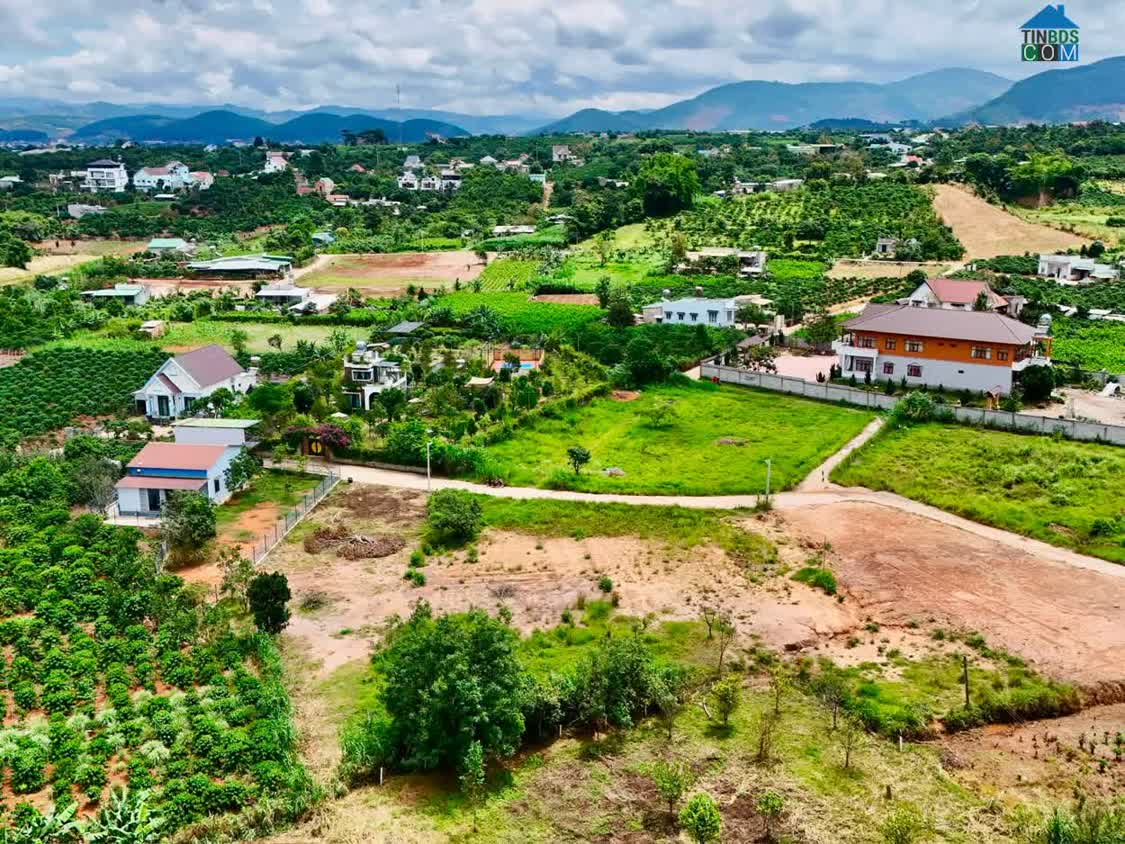 Ảnh Bán Đất Ven Đà Lạt 558m² Thổ Cư 209m² – Đất Nở Hậu, View Đồi Núi, Lý Tưởng Xây Nhà Vườn Nghỉ Dưỡng 0