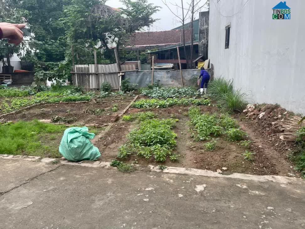 Ảnh Phân Khúc Hơn 2 Tỷ Như Quỳnh – Đất Đẹp Sát Trường, Cận Chợ, Công Nhân Đông Đúc: 0835459289 0
