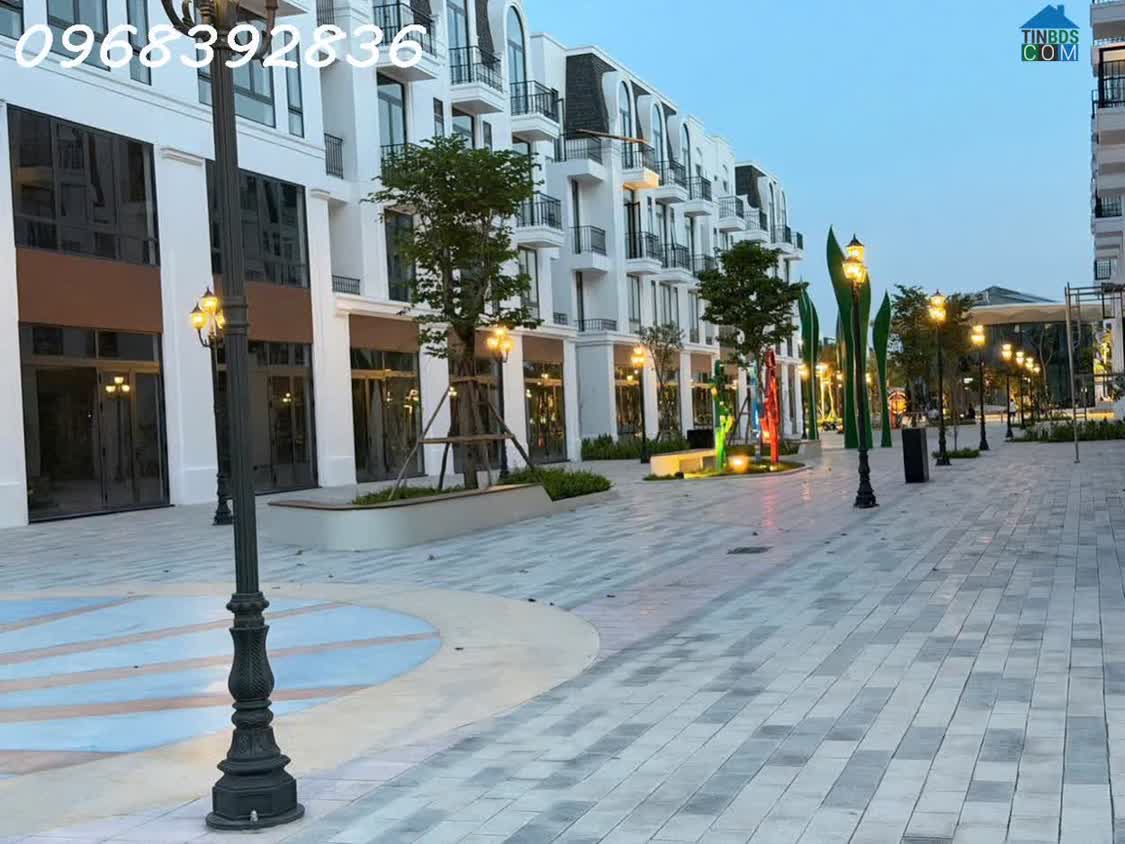 Ảnh Bán Nhà Phố Vlasta Thủy Nguyên | Giá Từ 4,5 Tỷ | Sở Hữu Lâu Dài 0