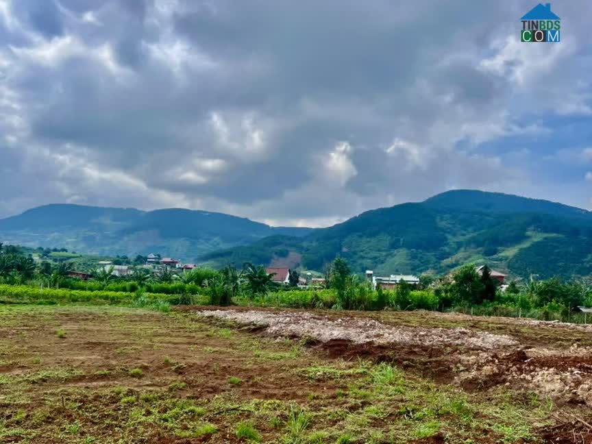 Ảnh Bán Đất Ven Đà Lạt 466m² Thổ Cư 100m² – View Thoáng, Thế Đất Đẹp, Giá Chỉ 890 Triệu 0