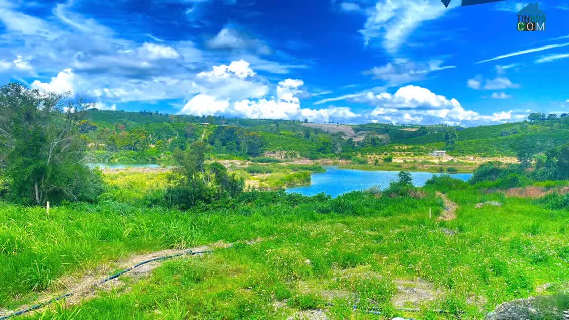 Ảnh 1,3 ha ( 13.000m2 ) mà giá chỉ 3,5 tỷ - phú hội cũ, đức trọng, lâm đồng 0