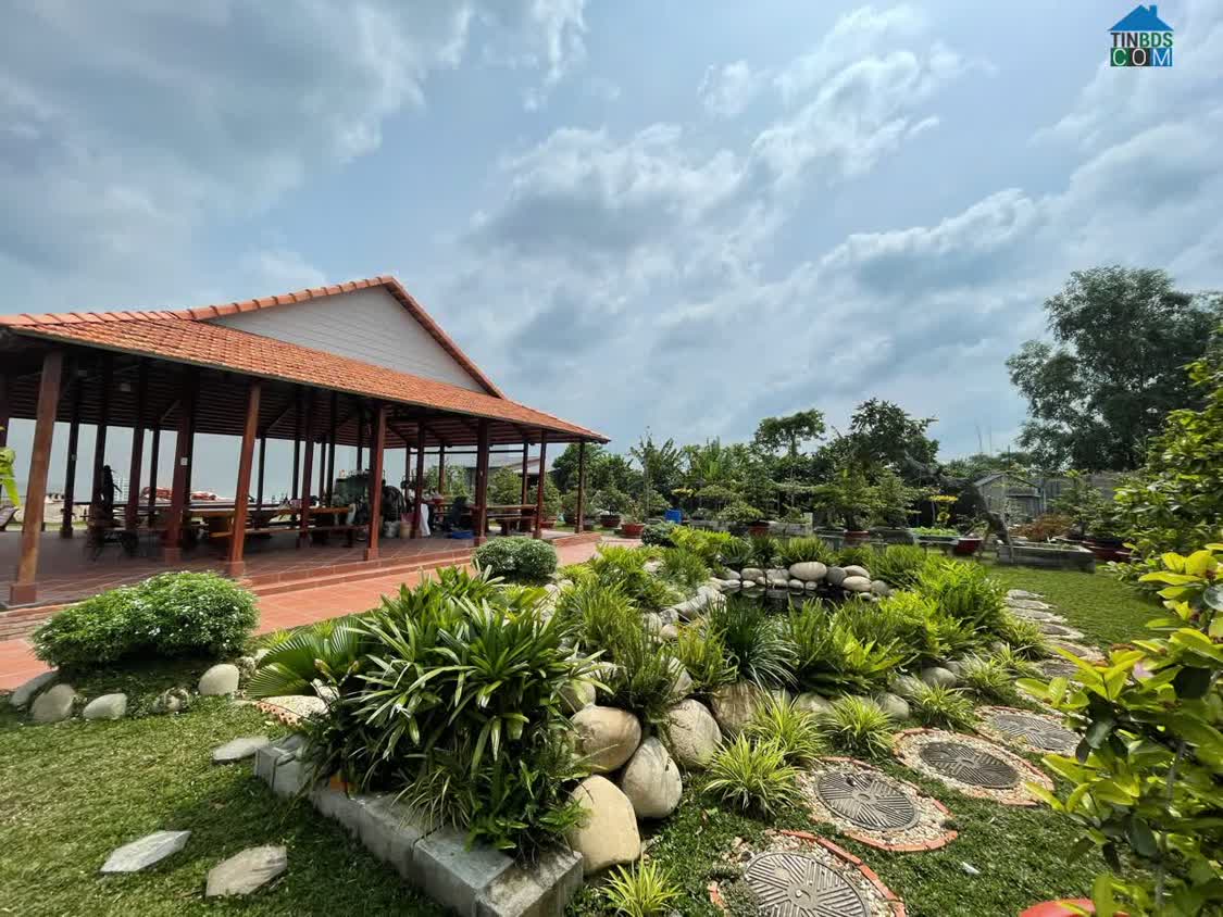 Ảnh Cần Bán Khu Đất Tiềm Năng Mặt Tiền Tuyến Tránh QL30 – Gần Chợ Mỹ Phú. Lh:0907682333. 0