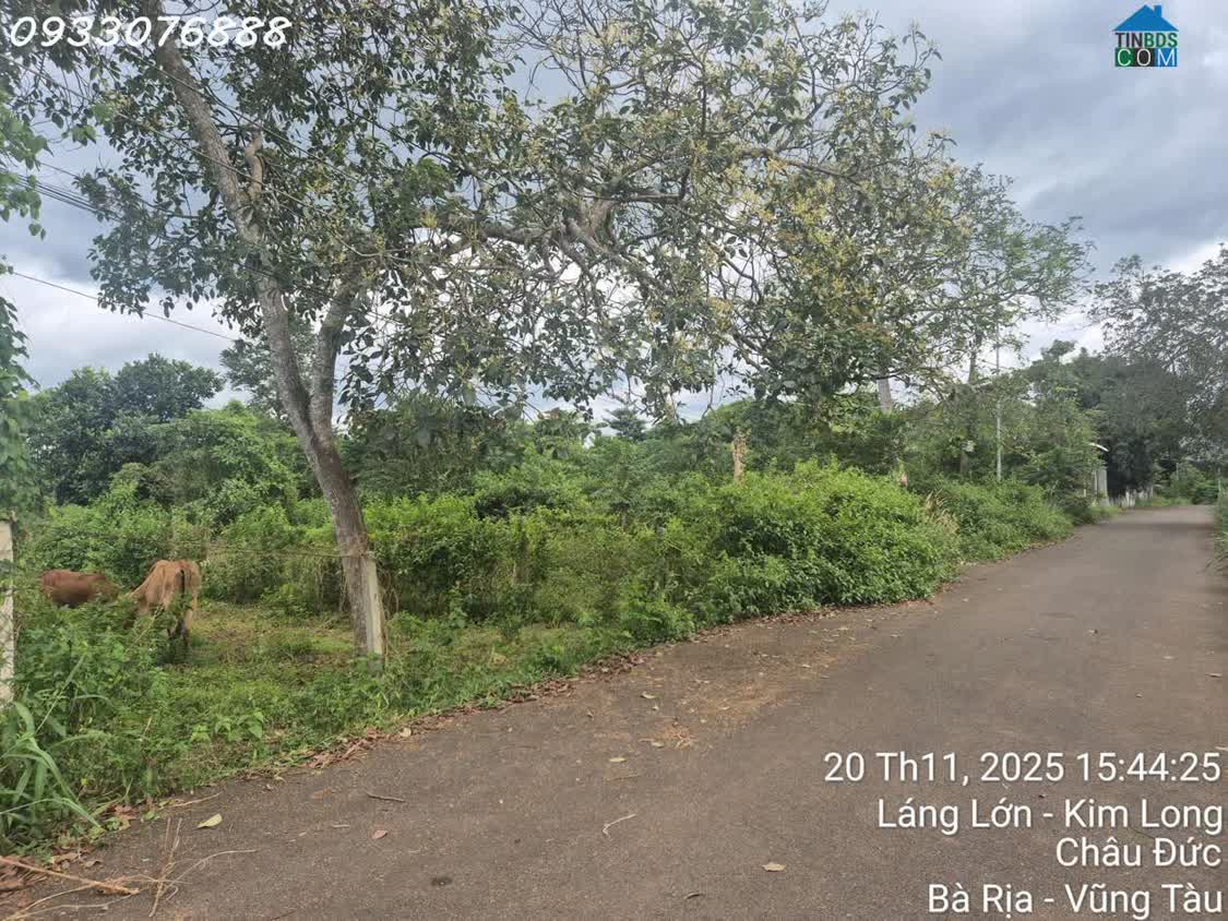 Ảnh Cần tiền bán nhanh lô đất 325m2 tại Kim Long, Châu Đức, Bà Rịa Vũng Tàu, giá 1,8 tỷ 0