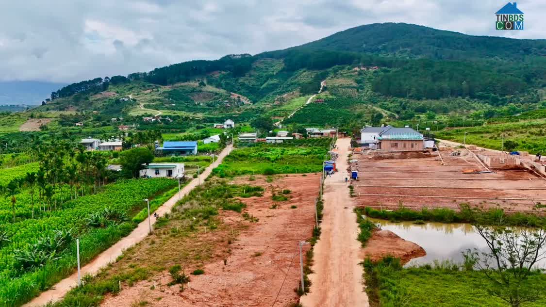 Ảnh Bán Đất Ven Đà Lạt 309m² Thổ Cư 209m² – Hai Mặt Tiền Giữa Thung Lũng Thông Xanh, Giá Chỉ 1 Tỷ 150 0