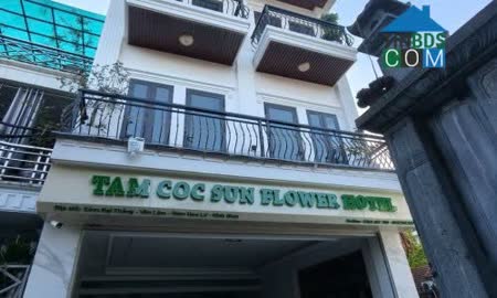Ảnh Cho thuê Homestay đang hoạt động tại trung tâm Tam Cốc, Ninh Bình, 0947267222 1