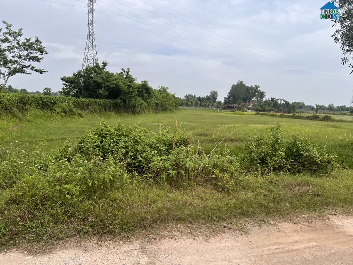 Ảnh Bán 1200m2 đất vườn ngay khu vực Tân An Hội, mặt tiền đường nhựa 8m, giá 2 tỷ 4 0