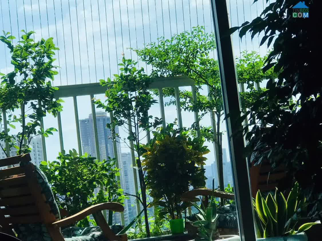 Ảnh HOA HẬU 3PN 103m2 full đồ view Dương Nội tại Ecolife Capitol ĐANG BÁN GẤP 8.9 tỷ 0