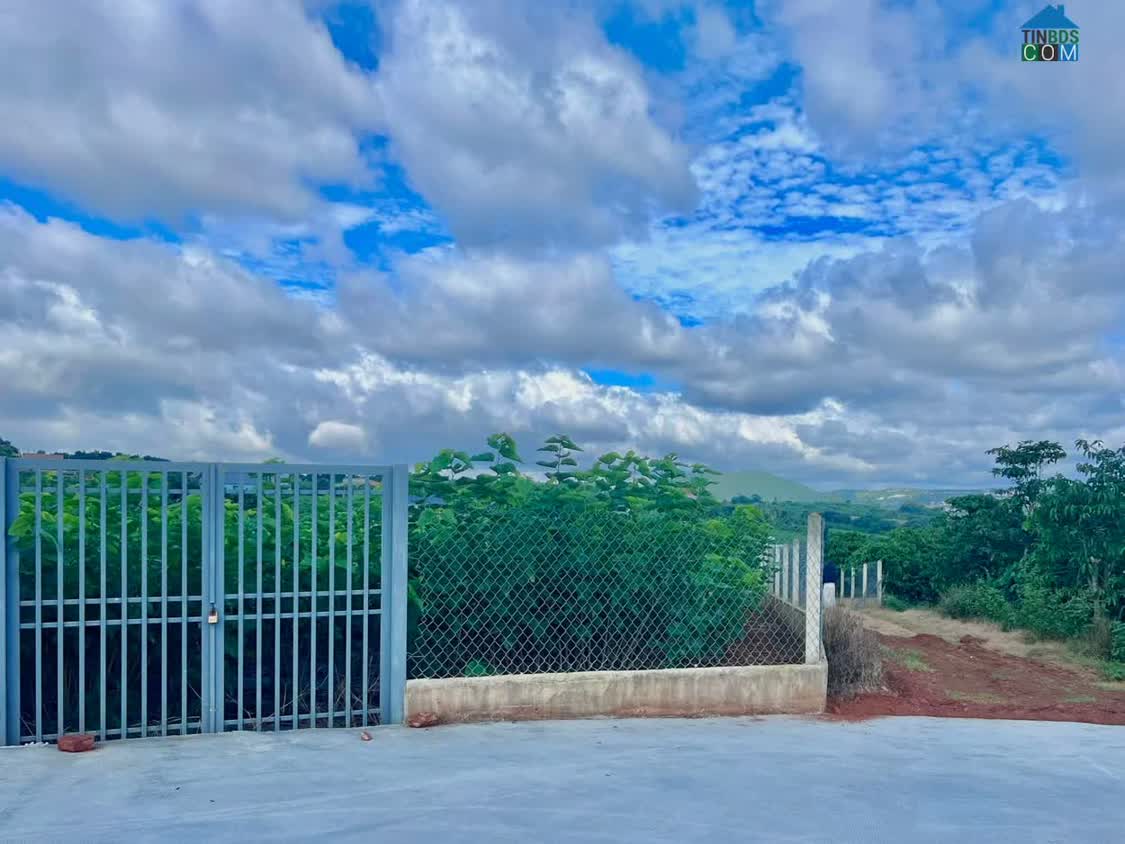 Ảnh Cần Bán Đất Ven Đà Lạt 3.677m² Có 200m² Thổ Cư View Đẹp, Phù Hợp Nhà Vườn Nghỉ Dưỡng 0