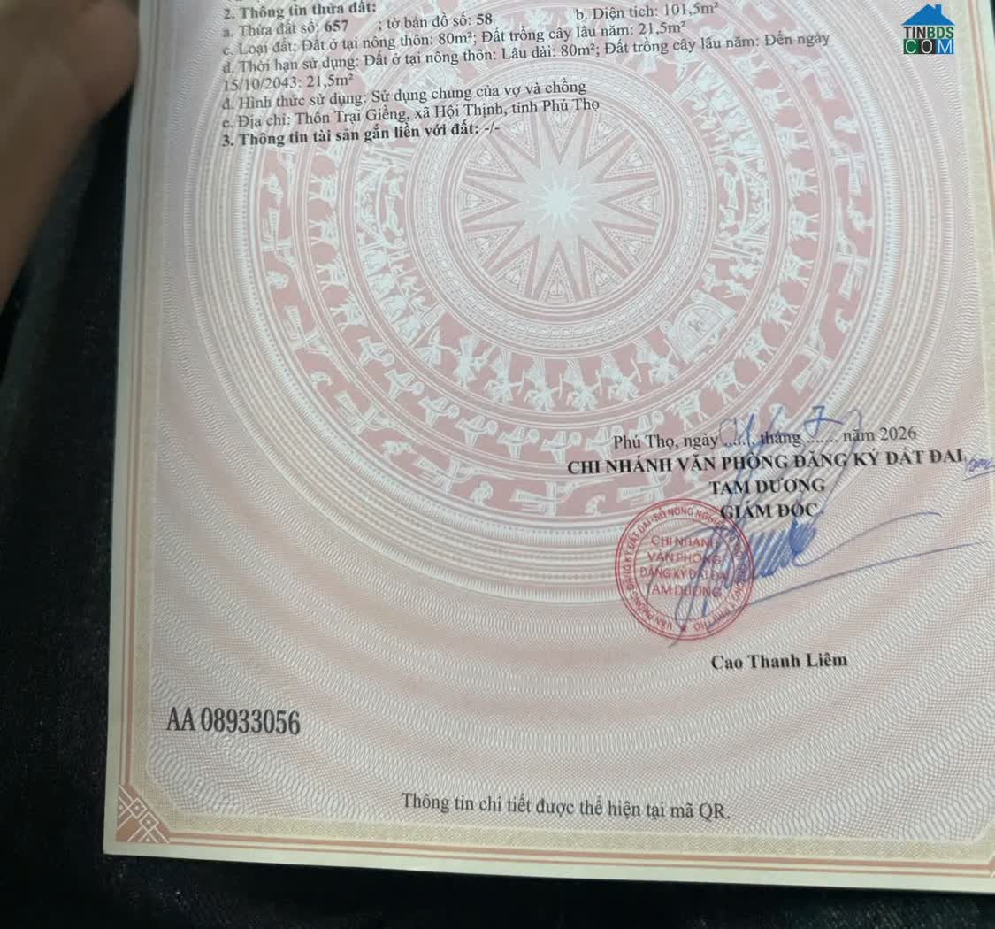 Ảnh Bán đất tại Trại Giềng, Thanh Vân, Tam Dương, Vĩnh Phúc. LH: 098.991.6263 0
