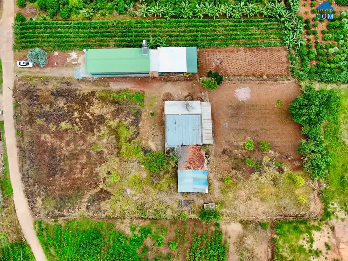 Ảnh Cần Bán Đất Ven Đà Lạt 3.276m² Có 400m² Thổ Cư Mặt Tiền 41m, Phù Hợp Nhà Vườn 0