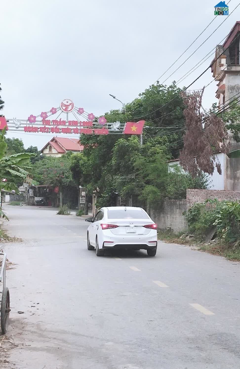 Ảnh Chính Chủ Cần Bán Đất Đồng Bắc – Kim Long – Tam Dương – Vĩnh Phúc 0