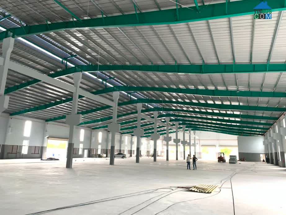 Ảnh Cho Thuê Nhà Xưởng 1.500m² Mới Xây Lại Tại Quảng Nam – Giá Chỉ 50k/m² 0