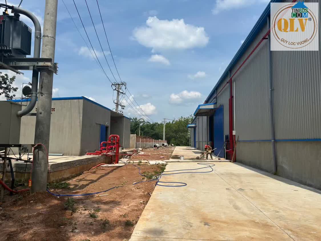 Ảnh Cho Thuê Nhà Xưởng Phú Giáo, Bình Dương – 5.000m² 0