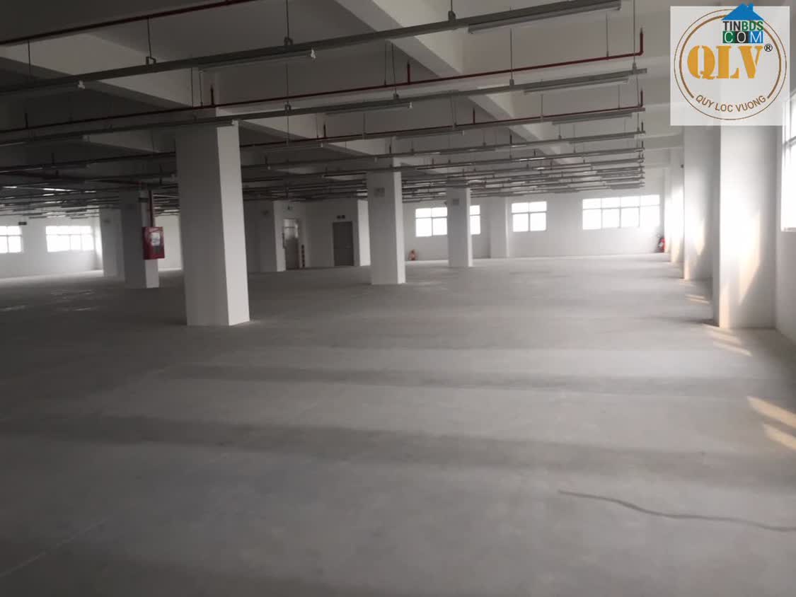Ảnh Bán Hoặc Cho Thuê Nhà Xưởng Cao Tầng – KCX Tân Thuận, Quận 7, Tp.Hcm – 7.500m² 0