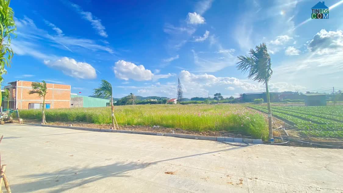 Ảnh Sổ mới toanh - hẻm thống nhất, phú hội cũ, đức trọng, lâm đồng 0