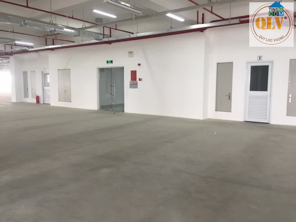 Ảnh Bán Hoặc Cho Thuê Nhà Xưởng Cao Tầng – KCX Tân Thuận, Quận 7, Tp.Hcm – 7.500m² 1
