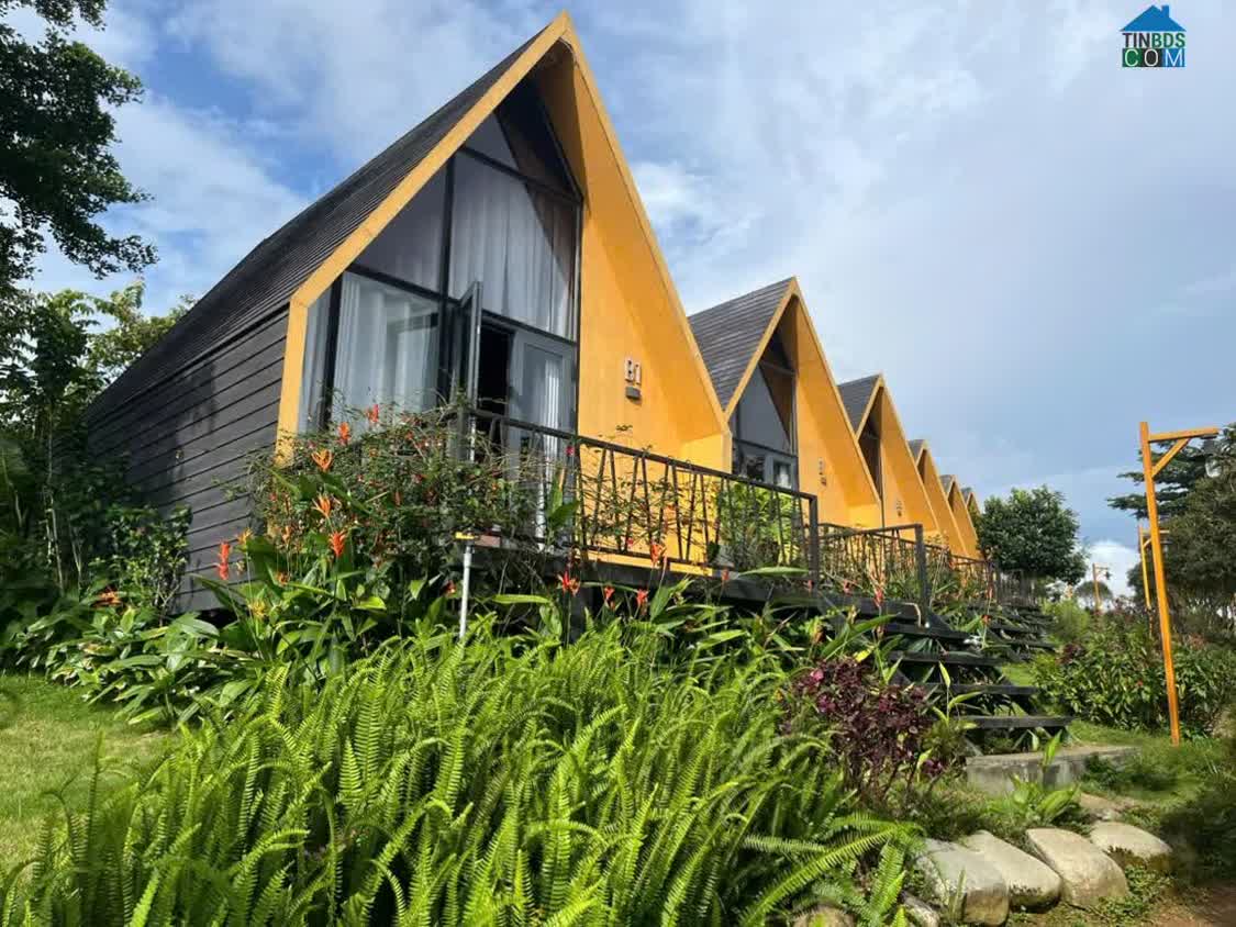 Ảnh 120.Bán Đất Nghỉ Dưỡng View Hồ Bảo Lộc 0