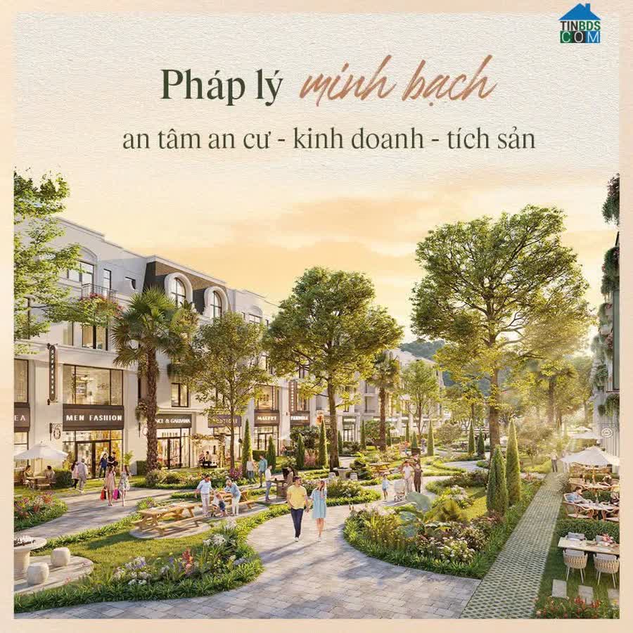 Ảnh Chính chủ cần bán gấp căn hộ 4 tầng tại dự án Vlasta Thủy Nguyên giá 4.5 tỷ 0