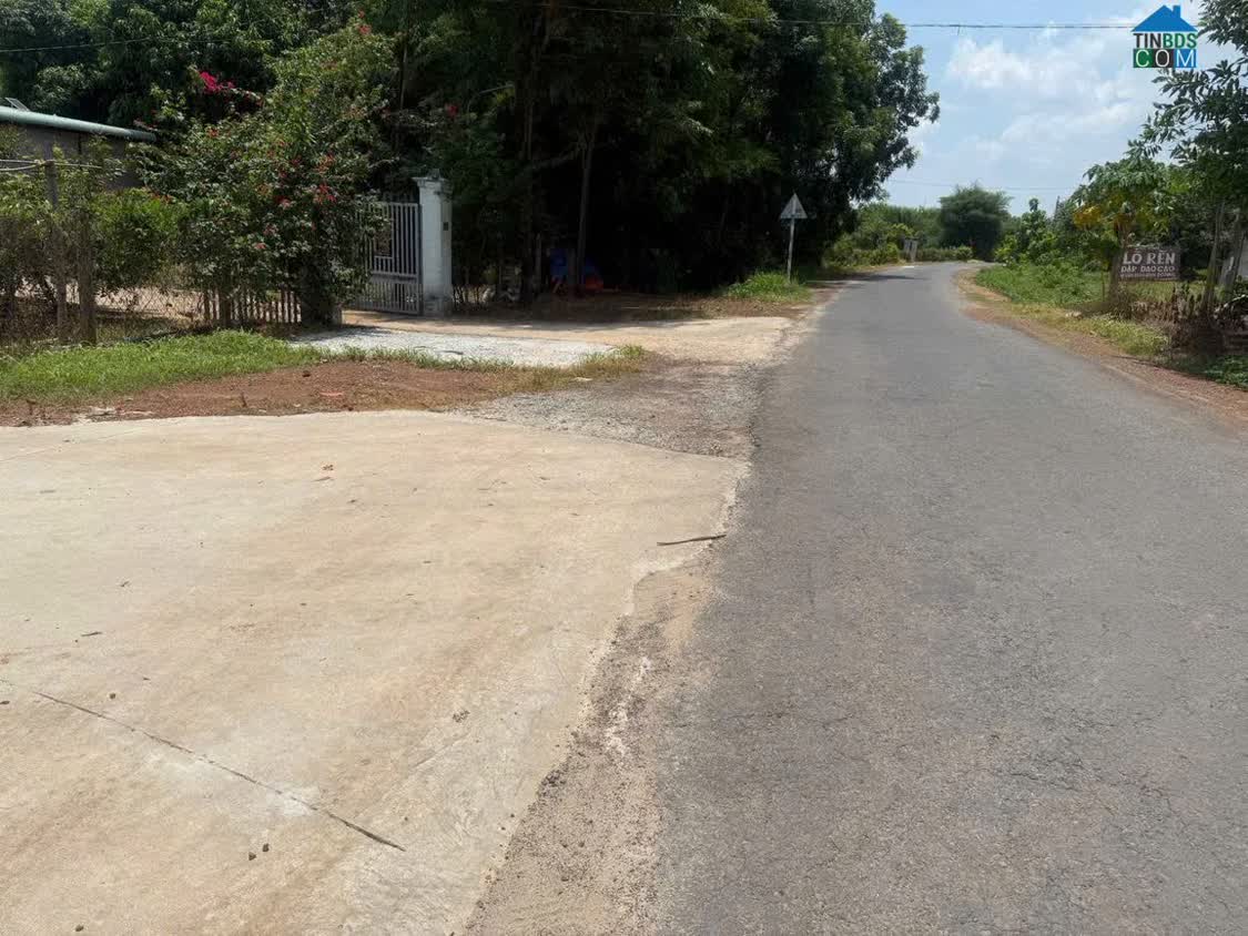 Ảnh Bán đất đường Trung Lập xã Trung Lập Thượng Củ Chi 100m² full thổ cư giá rẻ 0
