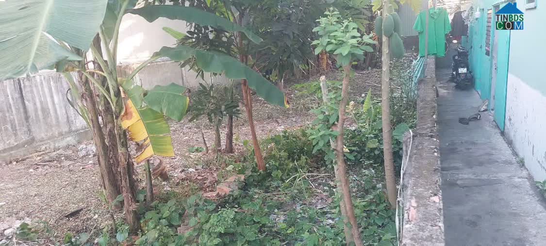 Ảnh Chính chủ bán gấp đất nền Tiền Lân 14A, xã Bà Điểm, TP.HCM (Hóc Môn cũ) - 177m - 6,45 tỷ;... 0