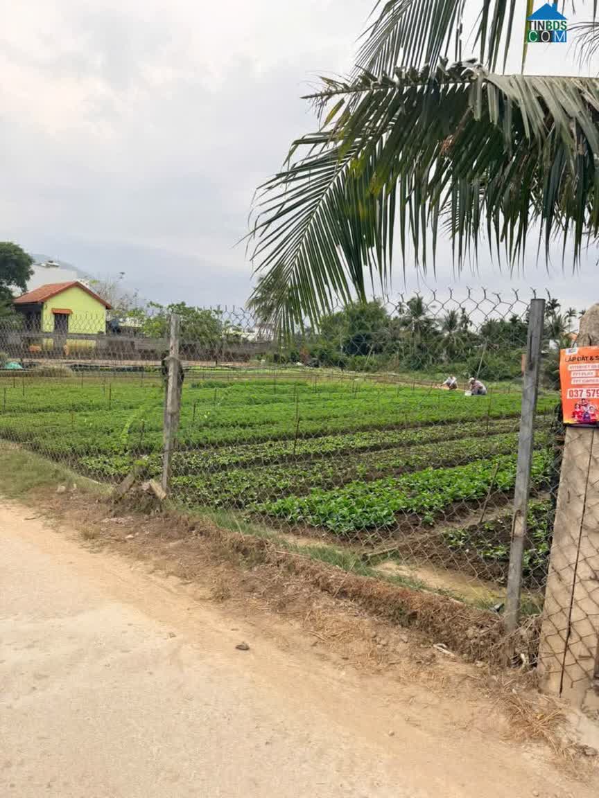 Ảnh Bán lô đất thôn Phú Thạnh, xã Vĩnh Thạnh Nha Trang, 948m2 ngang 30m 0