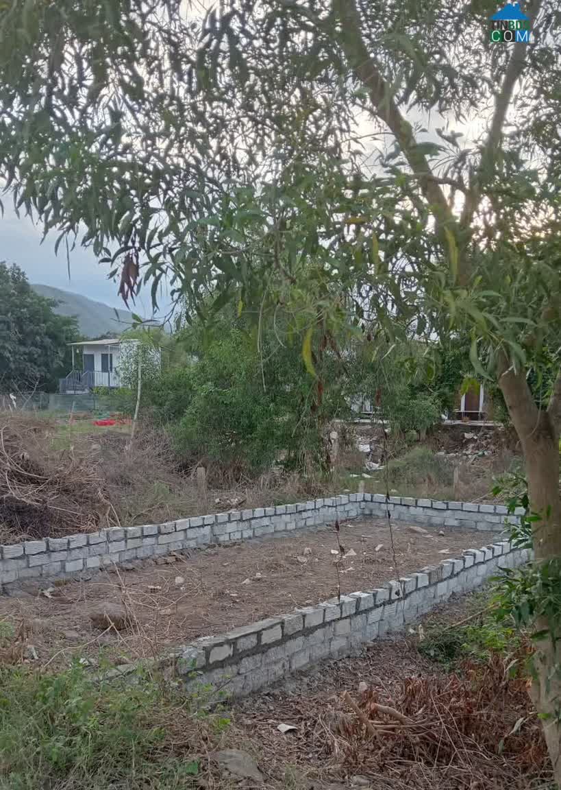 Ảnh Bán đất Thôn Võ Đông, Xã Vĩnh Trung (cũ), Nha Trang 1,5 tỷ/68,3m2 0