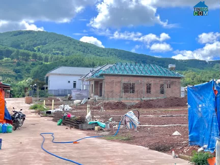 Ảnh Cần Bán Đất 542m² Có 200m² Thổ Cư Giữa Đồi Thông, Lý Tưởng Xây Nhà Vườn 0