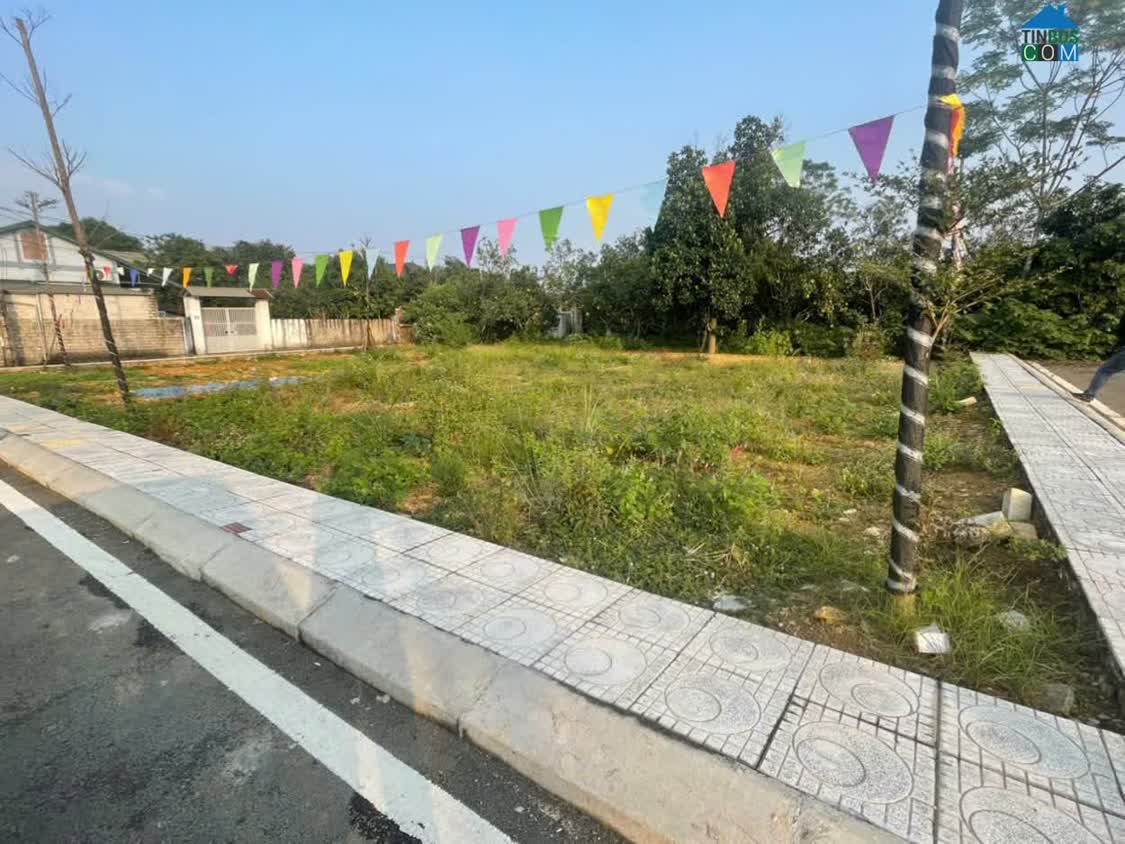 Ảnh Chú em cần bán lô đất 100m2 tại xã Phú Cát Hoà Lạc Giá Chỉ Từ 3 Tỷ 0