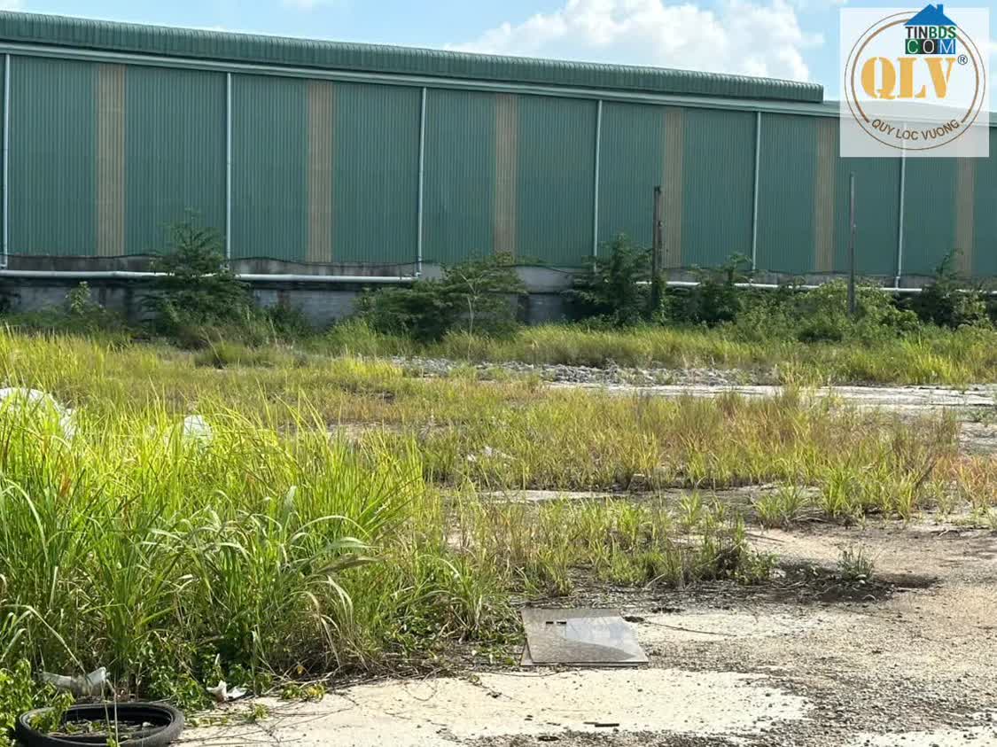 Ảnh Cho Thuê Mặt Bằng – Đất Trống Mặt Tiền Đt741, Bến Cát, Bình Dương – 8.500m² 0