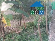 Ảnh Chính Chủ Cần Bán Gấp Lô Đất - Vị Trí Trung Tâm Đường Tiền Lân 14a - Xã Bà Điểm 0