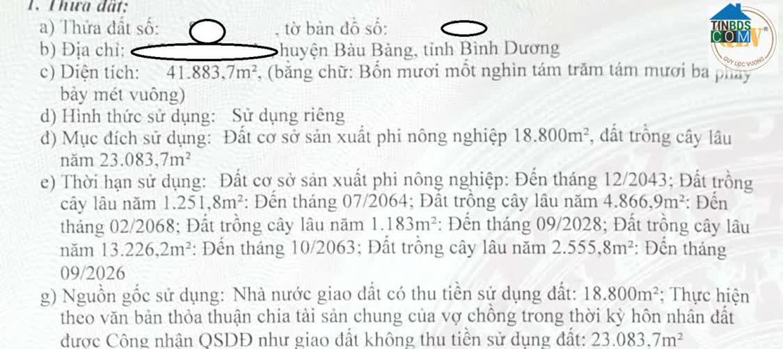 Ảnh Cho Thuê / Bán Nhà Xưởng Tại Bàu Bàng, Bình Dương – 41.883m² 0