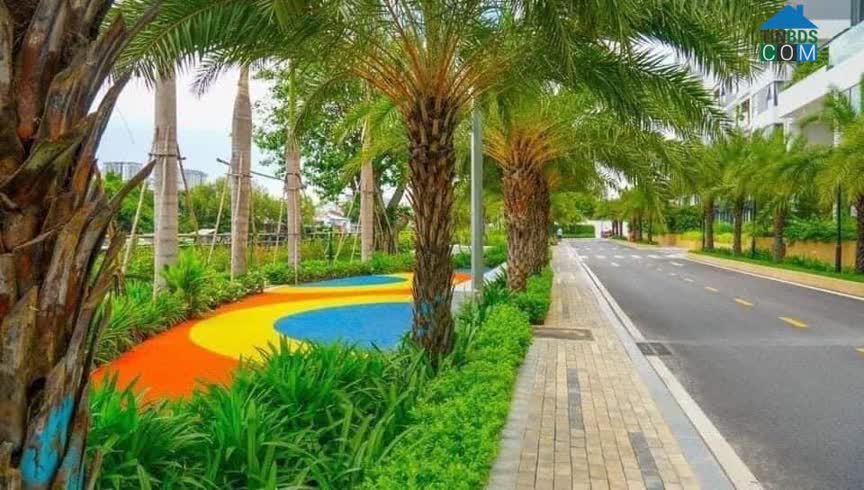 Ảnh Tổng hợp căn hộ D'lusso - Precia An Phú Q2 cho thuê đầy đủ 2-3pn mới nhất tháng 8 0