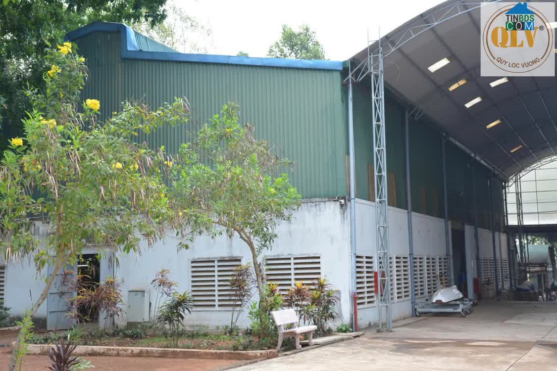 Ảnh Bán Nhà Xưởng Sản Xuất Tại Định Quán, Đồng Nai – 26.025m² 0
