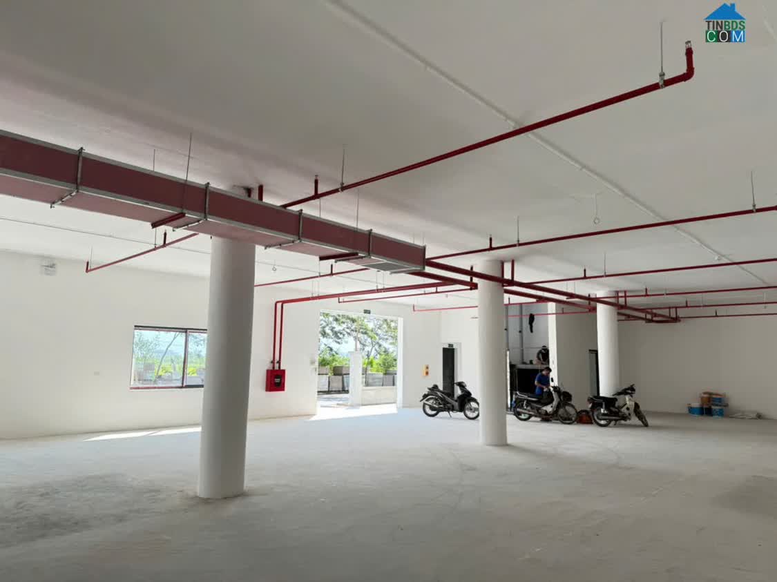 Ảnh Cho thuê kho xưởng 300m² tại Cụm CN Trường An, An Khánh, Hà Nội 0