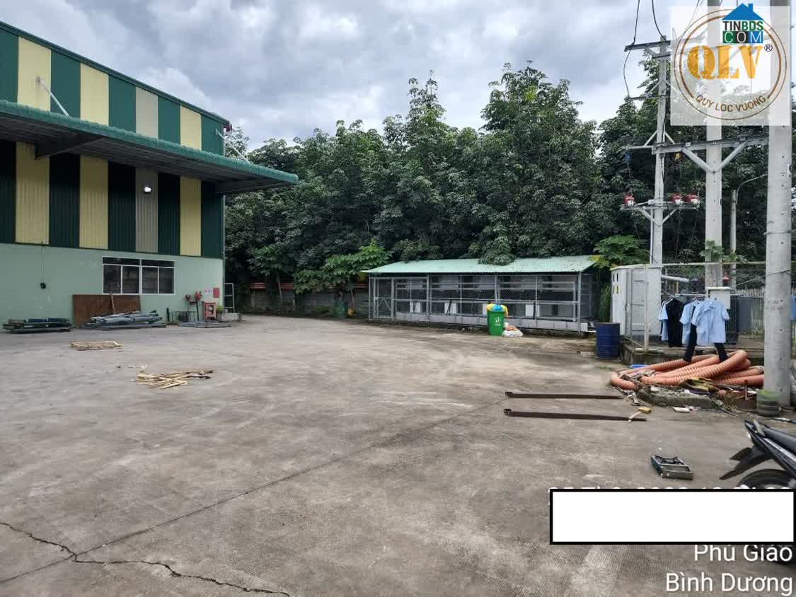 Ảnh Bán Nhà Xưởng Tại Phú Giáo, Bình Dương – 15.851m² 0