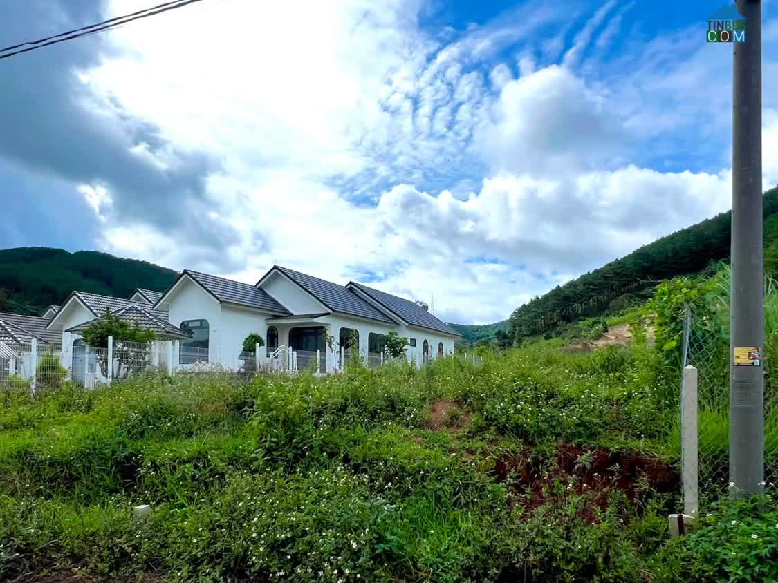 Ảnh Cần Bán Đất An Sơn Villas 239m² Có 150m² Thổ Cư, Nở Hậu Đẹp 0