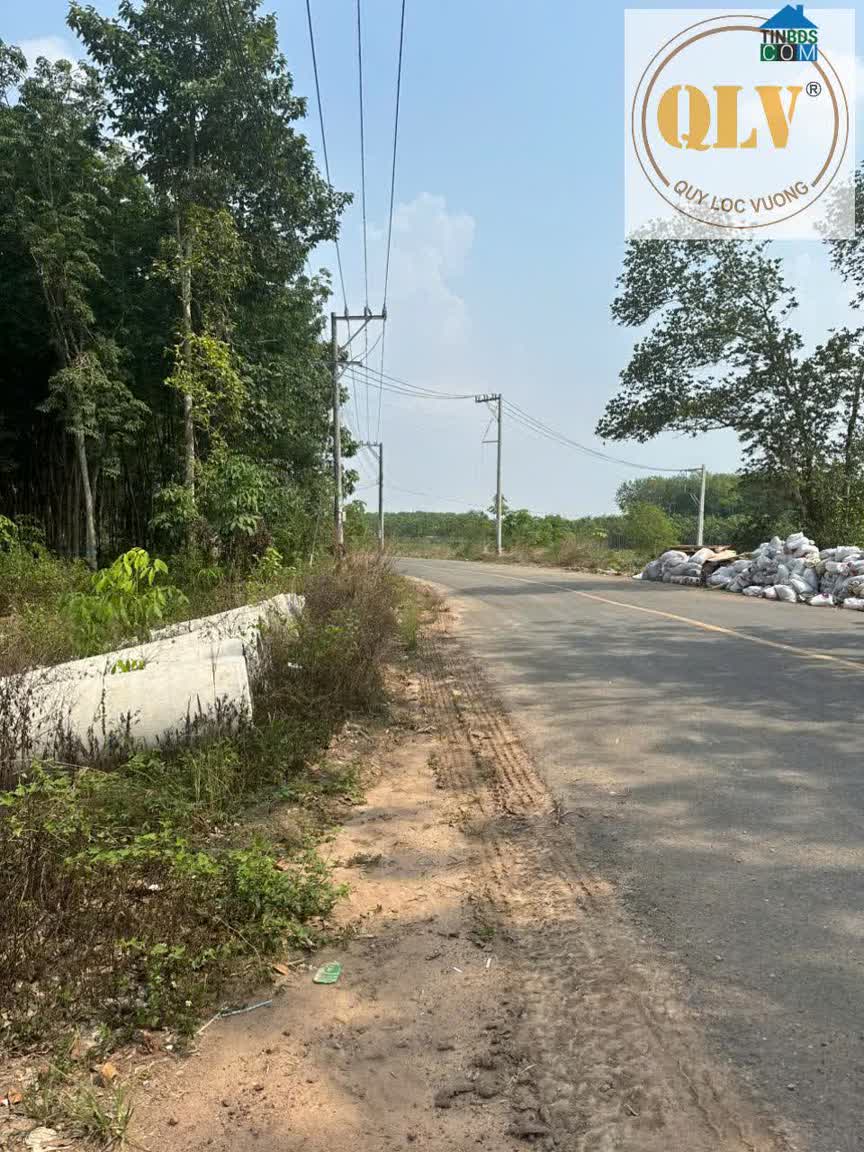 Ảnh Cho Thuê Nhà Xưởng Tại Phú Giáo, Bình Dương – 5.030m² 0