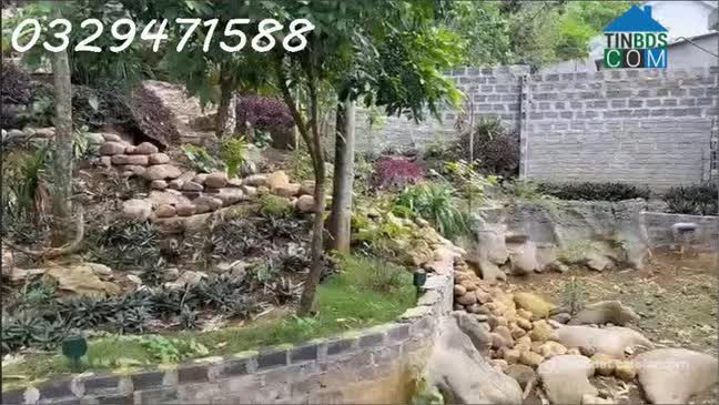 Ảnh Cho thuê nhà vườn tại xã Lạc Lương (H.Yên Thuỷ, Hoà Bình), nay là Phú Thọ. 0329471588 1
