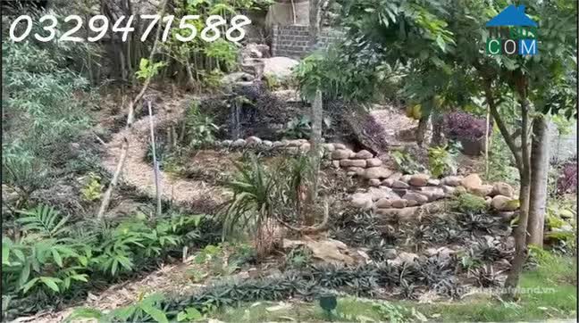 Ảnh Cho thuê nhà vườn tại xã Lạc Lương (H.Yên Thuỷ, Hoà Bình), nay là Phú Thọ. 0329471588 2