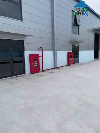 Ảnh Cho Thuê Kho Xưởng 720m² Bích Hòa - Thanh Oai, PCCC Nghiệm Thu. 0