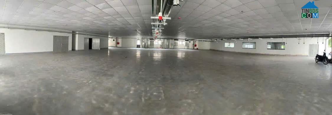 Ảnh Cho Thuê 2.530m² Kho Xưởng Độc Lập Tại KCN Đồng Văn 1, Hà Nam. PCCC Nghiệm Thu. 0