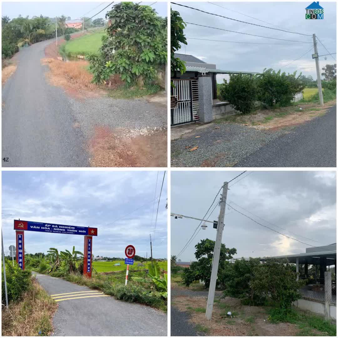 Ảnh Cần Bán Gấp Đất View Sông Vàm Cỏ Tây Xã Mỹ Lạc - Huyện Thủ Thừa - Long An 0