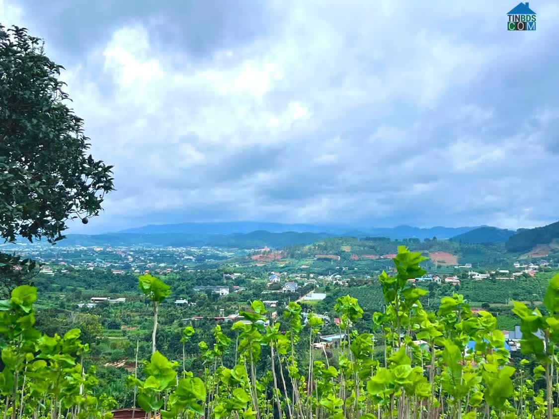 Ảnh Cần Bán Đất Nam Ban 5.539m², 200m² Thổ Cư, View Toàn Cảnh Từ Trên Cao 0
