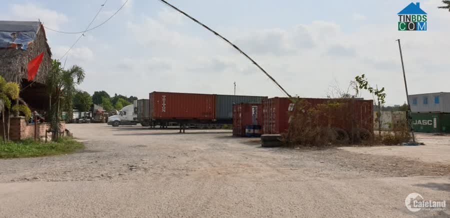 Ảnh Cho Thuê Bãi, Đất Trống 10.000m2, Có Thể Dựng Kho Theo Yêu Cầu Tại Hoà Vang, Giá Ưu Đãi 0