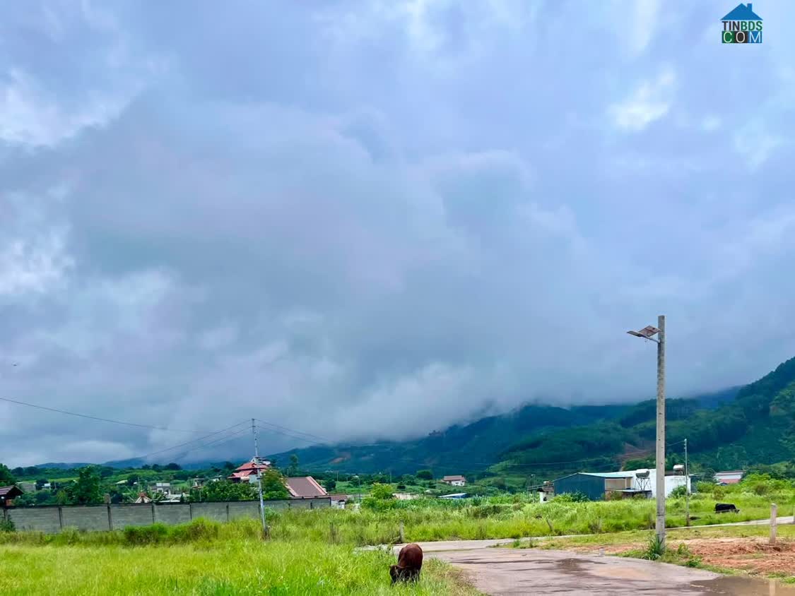 Ảnh Cần Bán Đất 413m² Có 221m² Thổ Cư, Nở Hậu 13,6m, View Đồi Núi Gần Đường Nhựa 0